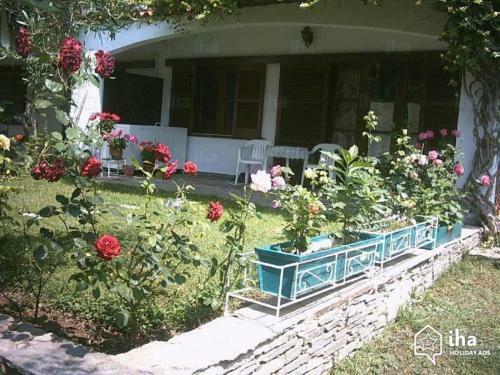 Country House Mikiverna