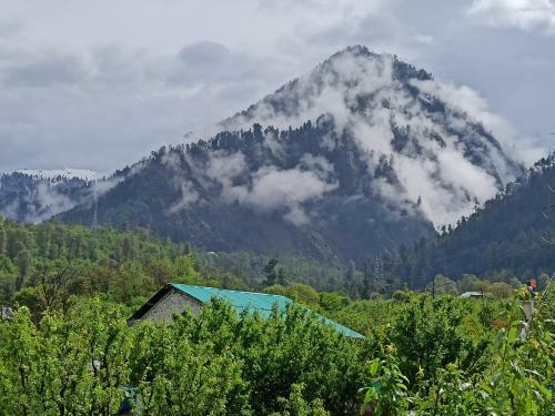 Meraki Cottages