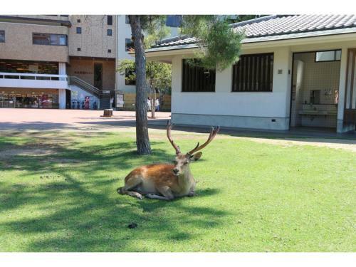 Hostal Apartment Sanjo - Vacation Stay 51307v