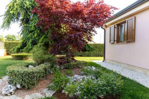 Villa Country House Nina
