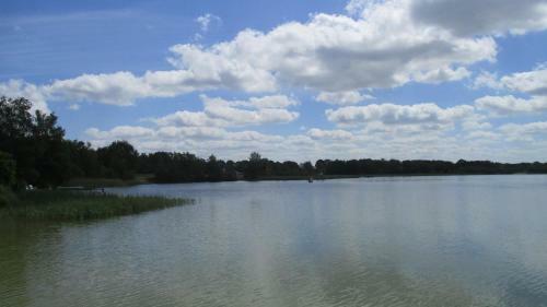 Chalet Nr 17 Op Bospark Trimunt