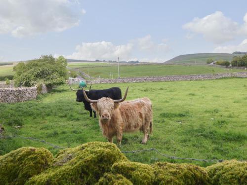 New Elm Tree Farm