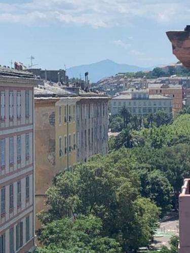 Apartamento Appartement Centre Ville