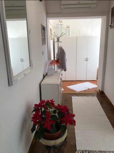 Apartamento Happiness