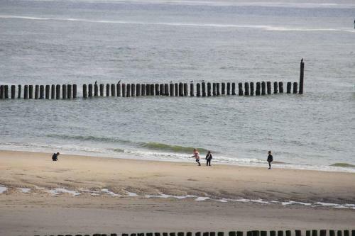 Knusse Vakantie Woning 2b