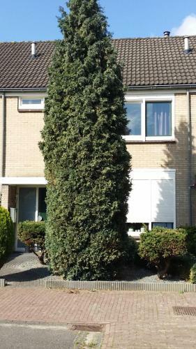 Bed & Breakfast Guesthouse Banja Hollandi?