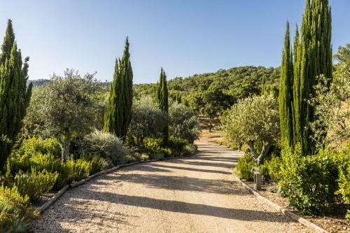 Villa Grandola Mountain Paradise By Cadenzalux