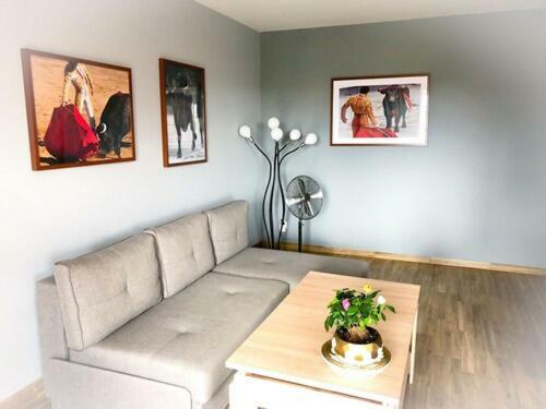 Apartament Konin Toreador