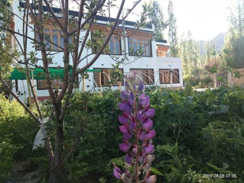 Hostal Sponbo Guest House