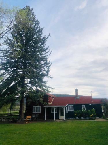 Colorado River Camp & Club
