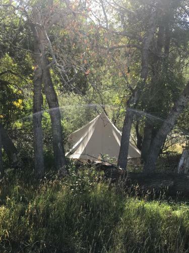 Colorado River Camp & Club