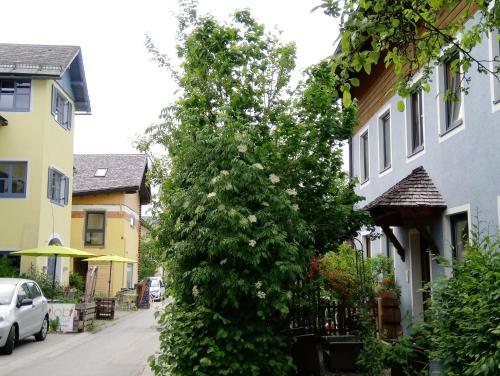 Girbl Bio Apartments Ungeimpft - Lifestyle
