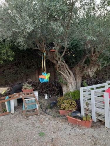 Agradable Casa De Campo En Finca Ecol�gica