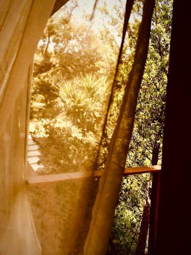 Glamping - La Casa Del Piano