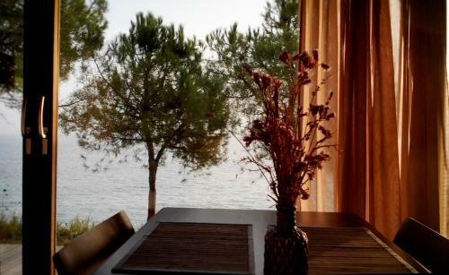 Ihouse Nea Skioni