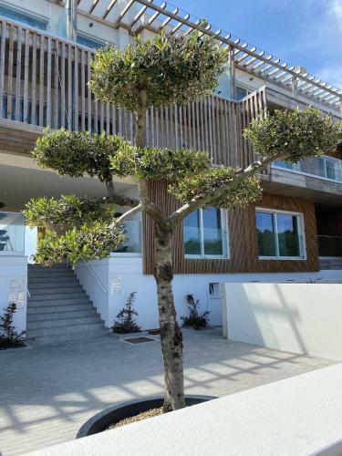 Apartamento Luxo Nazar�