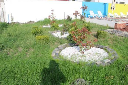 Hostal Casa Alex Vrancea Mehedinti
