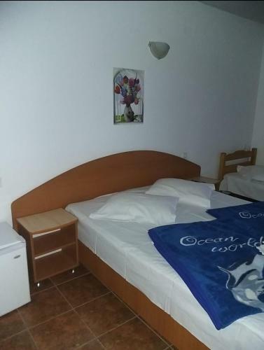 Hostal Pensiune La Rodica