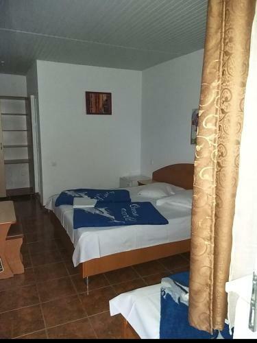 Hostal Pensiune La Rodica