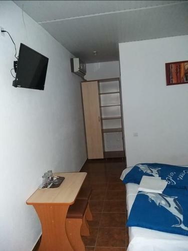 Hostal Pensiune La Rodica