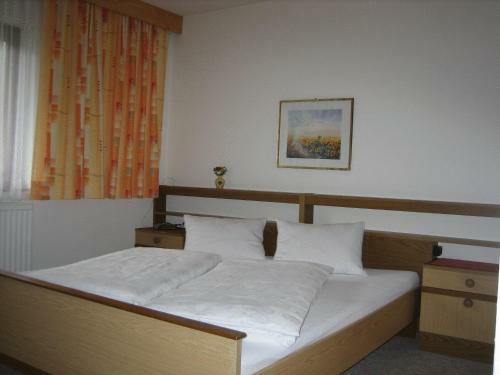 Hostal Ferienwohnungen P�tscher