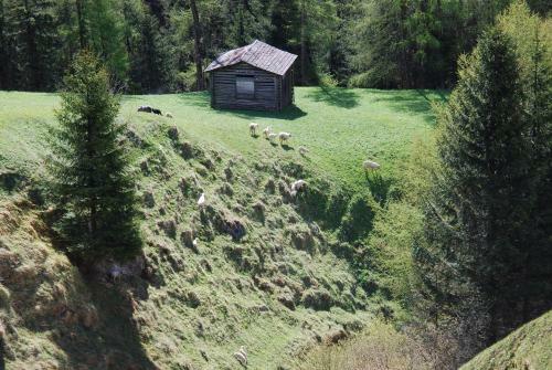 Agroturismo Stampferhof