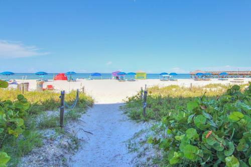 Beach Palms 508