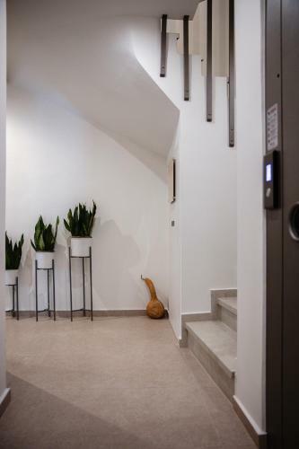 7 City Luxury Apartments