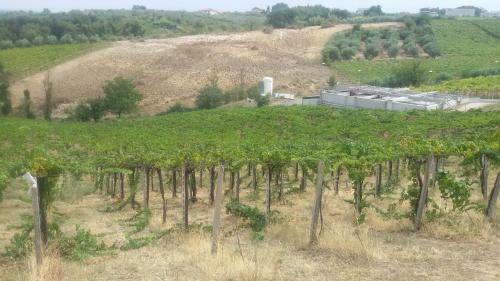 Agroturismo Fattoria Zitumasse