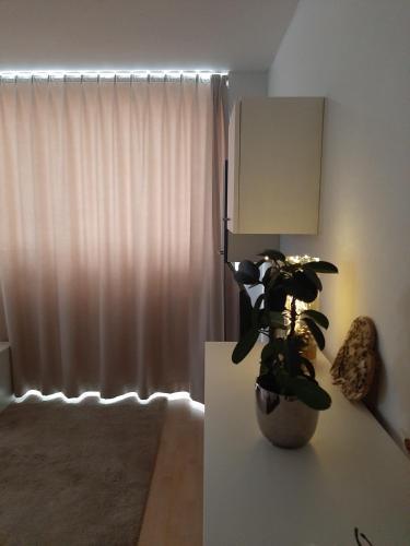Apartamento Appartement Mit Penthaus Charakter