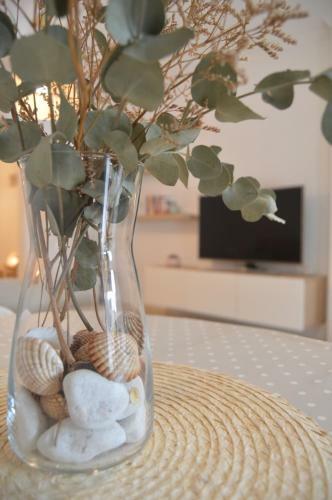 Precioso Apartamento Con Piscina