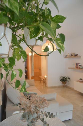 Precioso Apartamento Con Piscina