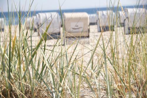 Klarsinnchen 6 Neu !!! - A60303