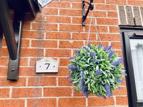 Apartamento Comfortable Manchester House With Conservatory & Parking