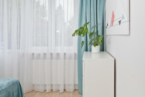 Apartment By The Castle - Top Spot In Szczecin