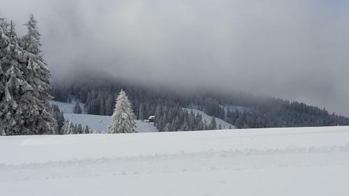 Apartamento Ferienwohnung Hasenfratz