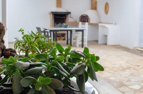 Apartamento Sunset Ground Floor Playa Blanca