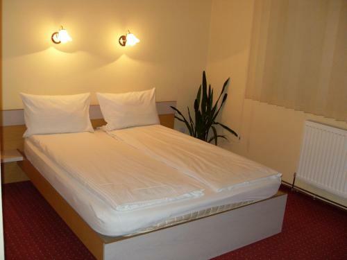 Hostal Pensiunea Beverly Hills