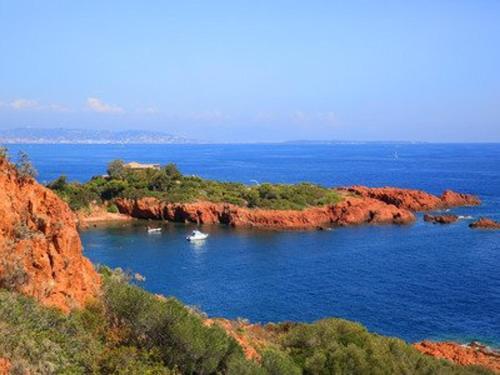 Apartamento Studio Agay, 1 Pi�ce, 2 Personnes - Fr-1-226a-96
