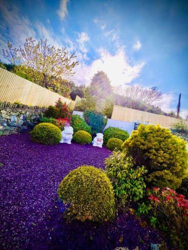 Apartamento Newcastle Stunning Sea Views & Forest Backdrop