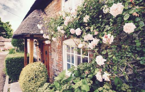 Stunning 3-bed Thatched Cottage In Dorset