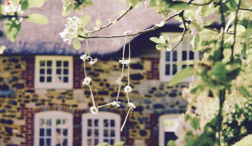 Stunning 3-bed Thatched Cottage In Dorset
