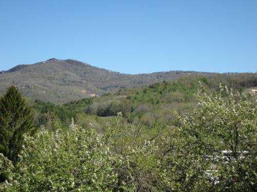 Cozy Mountain Getaway Near Beech/sugar Mtns #3