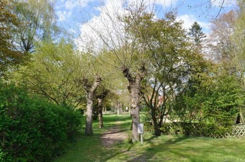 Apartamento Ferienwohnung S�dpark