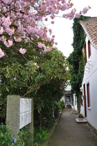 Apartamento Ferienwohnung S�dpark