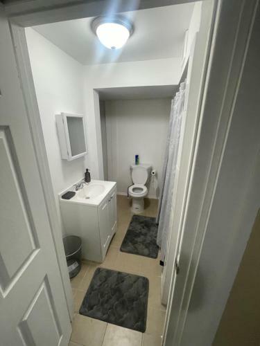 Lovely 1br Spacious Rental Apartment