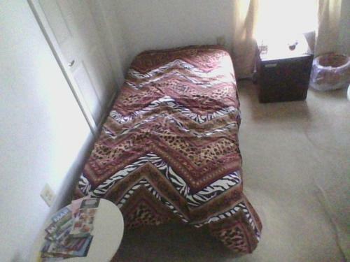 Bed & Breakfast The Brown Room By Temple U