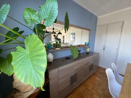 Apartamento Le Bonsa� By P�m, � Quelques Pas Du Scorff