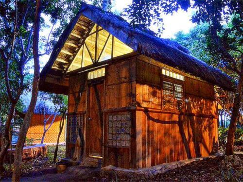Albergue Bohol Coco Farm