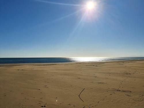 Apartamento Le Flot Des Vagues